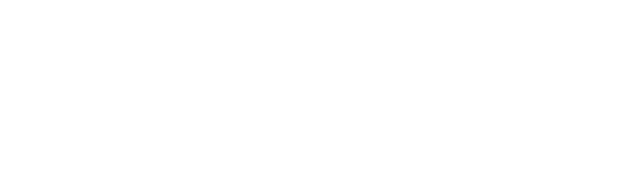 Pannon Express